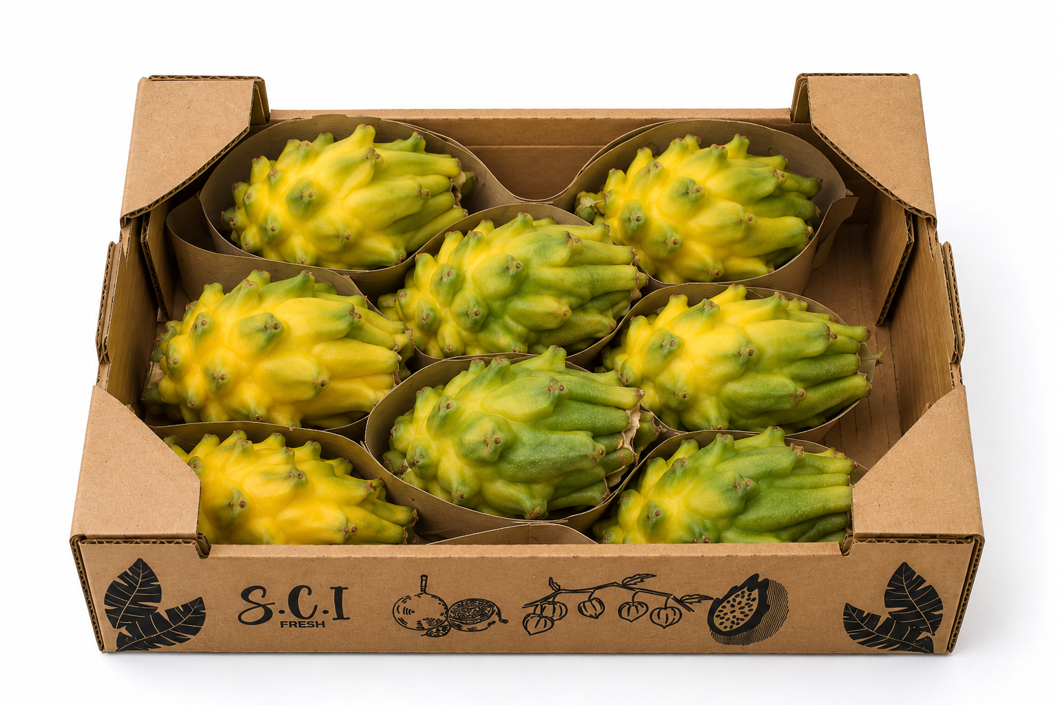 fragon fruit
